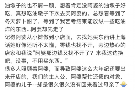 冠县融资清欠服务